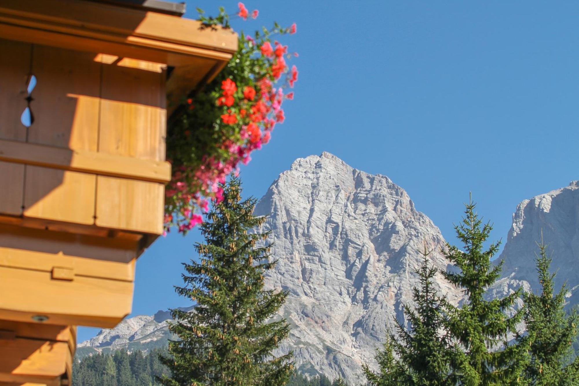 Haus Bergliebe Apartment Maria Alm am Steinernen Meer Luaran gambar