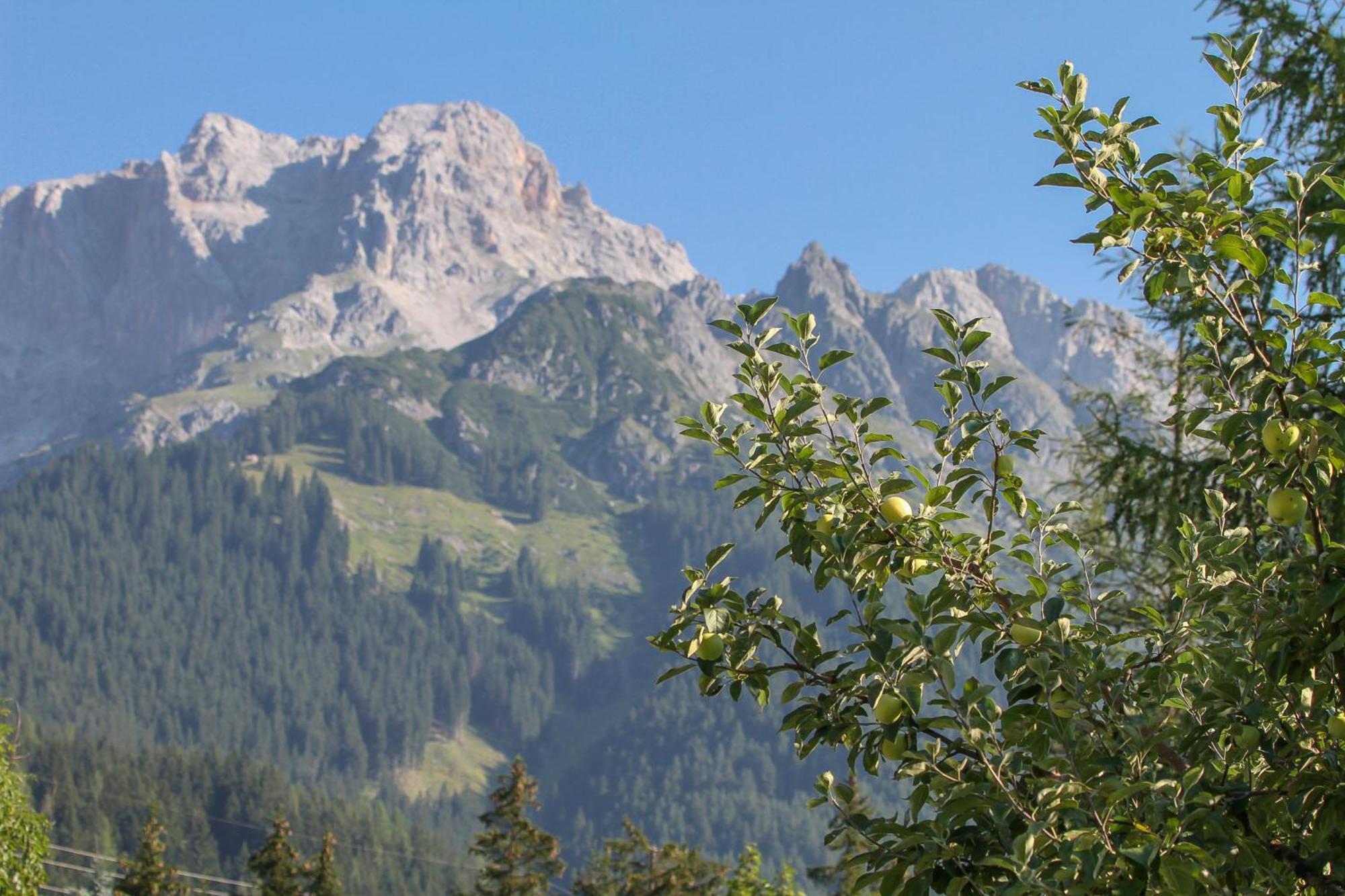 Haus Bergliebe Apartment Maria Alm am Steinernen Meer Luaran gambar